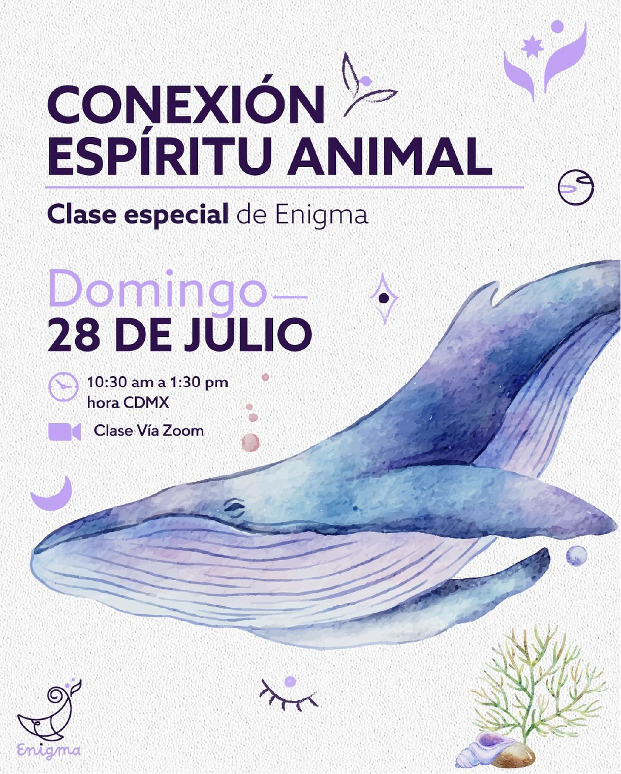 CONEXIÓN ANIMAL