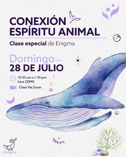CONEXIÓN ANIMAL