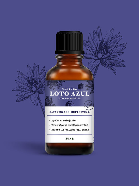 LOTO AZUL