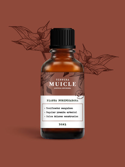 MUICLE