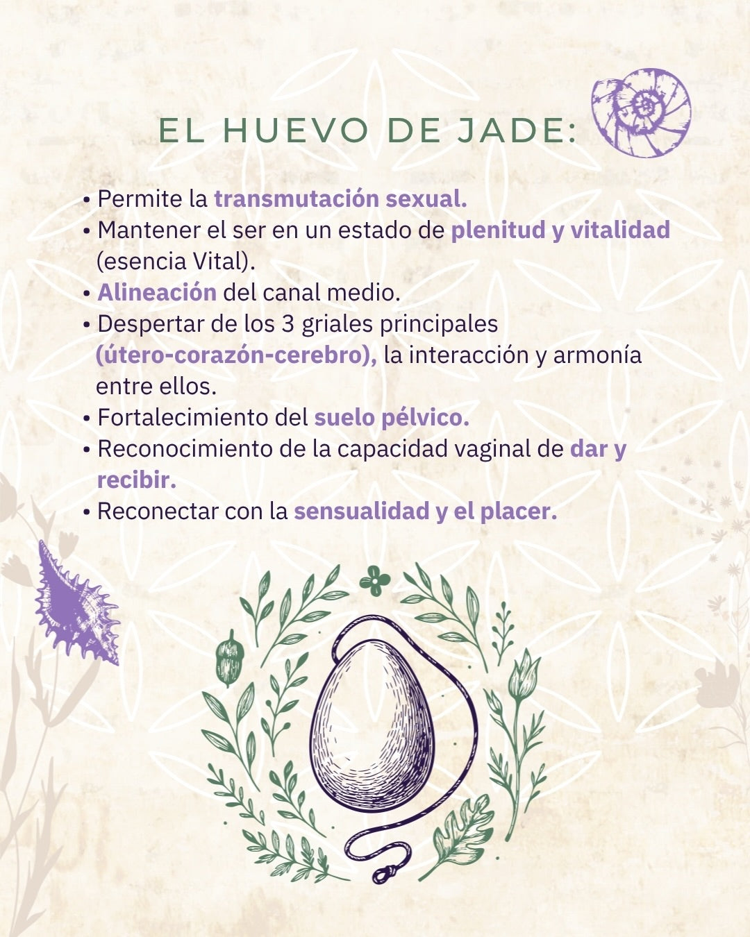 SANTUARIO MATRIZ NIVEL 1